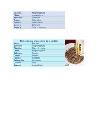 División Magnoliophyta
Clase agnoliopsida
Subclase Asteridae
Orden Solanales
Familia Solanaceae
Genero Solanum
Especie S. lycopersicum
Nomenclatura y taxonomía de la Lenteja
Reino Plantae
Subreino magnoliophyta
División Magnoliophyta
Clase Magnoliopsida
Subclase fosidae
Orden fabales
Familia fabaceae
Subfamilia faboideae
Genero lens
Especie lens culinari
 