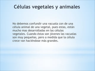 Células vegetales y animales
No debemos confundir una vacuola con de una
célula animal de una vegetal, pues estas, están
mucho mas desarrolladas en las células
vegetales. Cuando éstas son jóvenes las vacuolas
son muy pequeñas, pero a medida que la célula
crece van haciéndose más grandes.

 