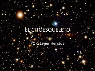 EL	
  CITOESQUELETO
POR:	
  Javier	
  Herrada

 