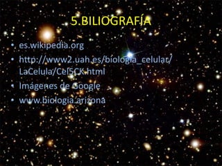 5.BILIOGRAFÍA
• es.wikipedia.org	
  
• http://www2.uah.es/biologia_celular/
LaCelula/Cel5CK.html	
  
• Imágenes	
  de	
  Google	
  
• www.biologia.arizona

 