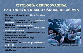 CITOLOGÍA CERVICOVAGINAL
FACTORES DE RIESGO CÁNCER DE CÉRVIX
 Mujer en el grupo de 25 a 64 años
de edad
 Inicio temprano de relaciones
sexuales (antes de los 18 años)
 Múltiples parejas sexuales
 Infección cervical por virus del
papiloma humano
 Antecedentes de enfermedades de
transmisión sexual
 Nivel socio económico bajo
 Tabaquismo
 Deficiencia de folatos y vitaminas
A, C y E
 Nunca haberse practicado el estudio
citológico
Virus del Papiloma Humano
 