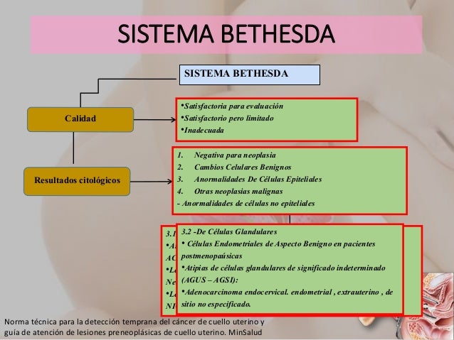 Exames de citologia e colposcopia recife