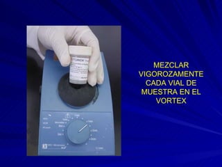 MEZCLAR VIGOROZAMENTE CADA VIAL DE MUESTRA EN EL VORTEX 