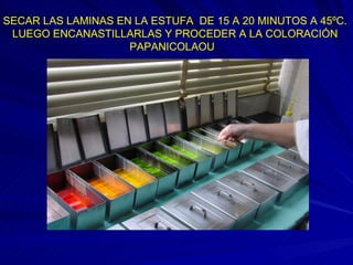 SECAR LAS LAMINAS EN LA ESTUFA  DE 15 A 20 MINUTOS A 45 ºC . LUEGO ENCANASTILLARLAS Y PROCEDER A LA COLORACIÓN PAPANICOLAOU  