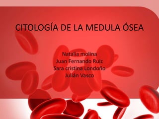 CITOLOGÍA DE LA MEDULA ÓSEA
Natalia molina
Juan Fernando Ruiz
Sara cristina Londoño
Julián Vasco
 