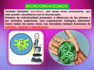 MICROORGANISMOS
También llamados 'microbios', son seres vivos unicelulares, que
solo pueden visualizarse con el microscopio.
Dotados de individualidad presentan, a diferencia de las plantas y
los animales superiores, una organización biológica elemental.
Como todos los seres vivos, los microbios realizan funciones de
nutrición , relación y reproducción.
 