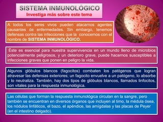 A todos los seres vivos pueden atacarnos agentes
causantes de enfermedades. Sin embargo, tenemos
defensas contra las infecciones que la conocemos con el
nombre de SISTEMA INMUNOLÓGICO.
Éste es esencial para nuestra supervivencia en un mundo lleno de microbios
potencialmente peligrosos, y un deterioro grave, puede hacernos susceptibles a
infecciones graves que ponen en peligro la vida.
Algunos glóbulos blancos (fagocitos) combaten los patógenos que logran
atravesar las defensas exteriores; un fagocito envuelve a un patógeno, lo absorbe
y lo neutraliza. También, hay dos tipos de glóbulos blancos, llamados linfocitos,
son vitales para la respuesta inmunológica.
Las células que forman la respuesta inmunológica circulan en la sangre, pero
también se encuentran en diversos órganos que incluyen al timo, la médula ósea,
los nódulos linfáticos, el bazo, el apéndice, las amígdalas y las placas de Peyer
(en el intestino delgado).
Investiga más sobre este tema
 