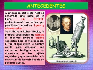 ANTECEDENTES
A principios del siglo XVII se
desarrolló una rama de la
física, LA ÓPTICA,
perfeccionando las lentes que
permitieron construir lupas y
microscopios.
Se atribuye a Robert Hooke, la
primera descripción de células
al observar diversos tejidos
vegetales bajo el microscopio.
Él fue el que utilizó la palabra
célula para designar una
estructura biológica que se
observaba en los tejidos
vegetales y que recordaba a la
estructura de las celdillas de un
panal de abejas.
 