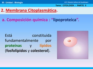 III - Unidad : Biología
Tema: CITOLOGÍA - PARTE II
I.E.P «Nuestra Señora de Guadalupe»
a. Composición química : “lipoproteica”.
2. Membrana Citoplasmática.
Está constituida
fundamentalmente por
proteínas y lípidos
(fosfolípidos y colesterol).
 