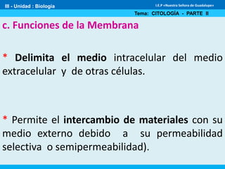 III - Unidad : Biología
Tema: CITOLOGÍA - PARTE II
I.E.P «Nuestra Señora de Guadalupe»
c. Funciones de la Membrana
* Delimita el medio intracelular del medio
extracelular y de otras células.
* Permite el intercambio de materiales con su
medio externo debido a su permeabilidad
selectiva o semipermeabilidad).
 