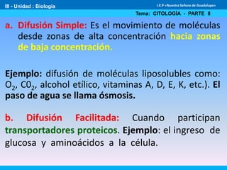 III - Unidad : Biología
Tema: CITOLOGÍA - PARTE II
I.E.P «Nuestra Señora de Guadalupe»
a. Difusión Simple: Es el movimiento de moléculas
desde zonas de alta concentración hacia zonas
de baja concentración.
Ejemplo: difusión de moléculas liposolubles como:
O2, C02, alcohol etílico, vitaminas A, D, E, K, etc.). El
paso de agua se llama ósmosis.
b. Difusión Facilitada: Cuando participan
transportadores proteicos. Ejemplo: el ingreso de
glucosa y aminoácidos a la célula.
 
