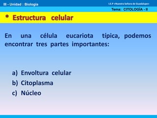 En una célula eucariota típica, podemos
encontrar tres partes importantes:
III - Unidad : Biología
Tema: CITOLOGÍA - II
I.E.P «Nuestra Señora de Guadalupe»
a) Envoltura celular
b) Citoplasma
c) Núcleo
 
