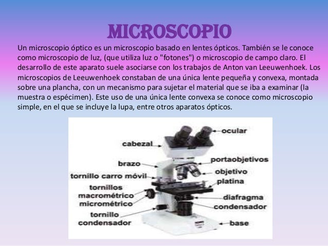 Citología jass