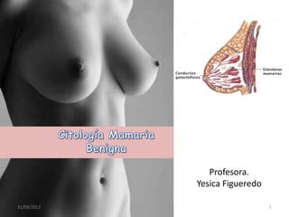 Profesora.
             Yesica Figueredo

31/03/2012                      1
 