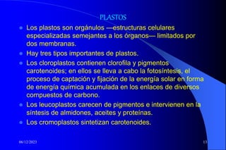 06/12/2023 13
PLASTOS
 Los plastos son orgánulos —estructuras celulares
especializadas semejantes a los órganos— limitados por
dos membranas.
 Hay tres tipos importantes de plastos.
 Los cloroplastos contienen clorofila y pigmentos
carotenoides; en ellos se lleva a cabo la fotosíntesis, el
proceso de captación y fijación de la energía solar en forma
de energía química acumulada en los enlaces de diversos
compuestos de carbono.
 Los leucoplastos carecen de pigmentos e intervienen en la
síntesis de almidones, aceites y proteínas.
 Los cromoplastos sintetizan carotenoides.
 