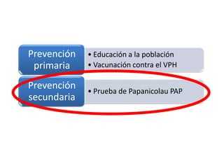 Prevención   • Educación a la población
 primaria    • Vacunación contra el VPH

Prevención   • Prueba de Papanicolau PAP
secundaria
 