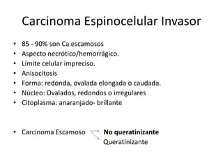 Carcinoma Espinocelular Invasor
•   85 - 90% son Ca escamosos
•   Aspecto necrótico/hemorrágico.
•   Límite celular impreciso.
•   Anisocitosis
•   Forma: redonda, ovalada elongada o caudada.
•   Núcleo: Ovalados, redondos o irregulares
•   Citoplasma: anaranjado- brillante


• Carcinoma Escamoso         No queratinizante
                             Queratinizante
 