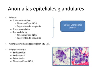 Anomalías epiteliales glandulares
•   Atípicas:
     – C. endocervicales:
          • Sin especificar (NOS)
                                                Células Glandulares
          • Sugerentes de neoplasia
                                                      atípicas
     – C. endometriales
     – C. glandulares:
          • Sin especificar (NOS)
          • Sugerentes de neoplasia

•   Adenocarcinoma endocervical in situ (AIS)

•   Adenocarcinoma:
     – Endocervical
     – Endometrial
     – Extrauterino
     – Sin especificar (NOS)
 