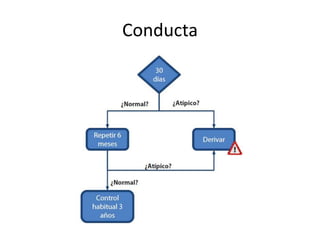Conducta
 