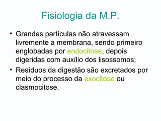 Fisiologia da M.P.
• Grandes partículas não atravessam
livremente a membrana, sendo primeiro
englobadas por endocitose, depois
digeridas com auxílio dos lisossomos;
• Resíduos da digestão são excretados por
meio do processo da exocitose ou
clasmocitose.
 