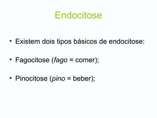 Endocitose
• Existem dois tipos básicos de endocitose:
• Fagocitose (fago = comer);
• Pinocitose (pino = beber);
 