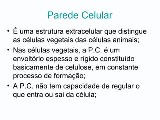 Parede Celular
• É uma estrutura extracelular que distingue
as células vegetais das células animais;
• Nas células vegetais, a P.C. é um
envoltório espesso e rígido constituído
basicamente de celulose, em constante
processo de formação;
• A P.C. não tem capacidade de regular o
que entra ou sai da célula;
 