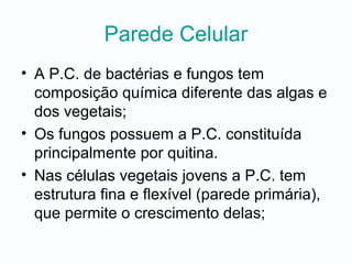 Parede Celular
• A P.C. de bactérias e fungos tem
composição química diferente das algas e
dos vegetais;
• Os fungos possuem a P.C. constituída
principalmente por quitina.
• Nas células vegetais jovens a P.C. tem
estrutura fina e flexível (parede primária),
que permite o crescimento delas;
 
