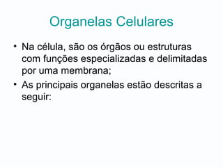 Organelas Celulares
• Na célula, são os órgãos ou estruturas
com funções especializadas e delimitadas
por uma membrana;
• As principais organelas estão descritas a
seguir:
 