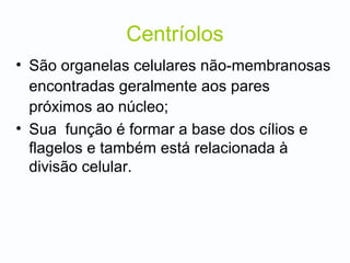 Centríolos
• São organelas celulares não-membranosas
encontradas geralmente aos pares
próximos ao núcleo;
• Sua função é formar a base dos cílios e
flagelos e também está relacionada à
divisão celular.
 