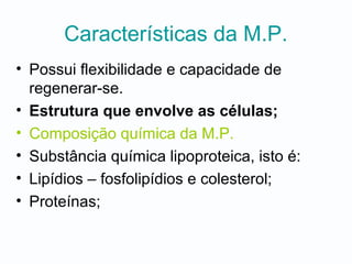 Características da M.P.
• Possui flexibilidade e capacidade de
regenerar-se.
• Estrutura que envolve as células;
• Composição química da M.P.
• Substância química lipoproteica, isto é:
• Lipídios – fosfolipídios e colesterol;
• Proteínas;
 