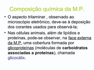 Composição química da M.P.
• O aspecto trilaminar , observado ao
microscópio eletrônico, deve-se à deposição
dos corantes usados para observá-la;
• Nas células animais, além de lipídios e
proteínas, pode-se observar, na face externa
da M.P. uma cobertura formada por
glicoproteínas (moléculas de carboidratos
associadas a proteínas), chamada
glicocálix.
 