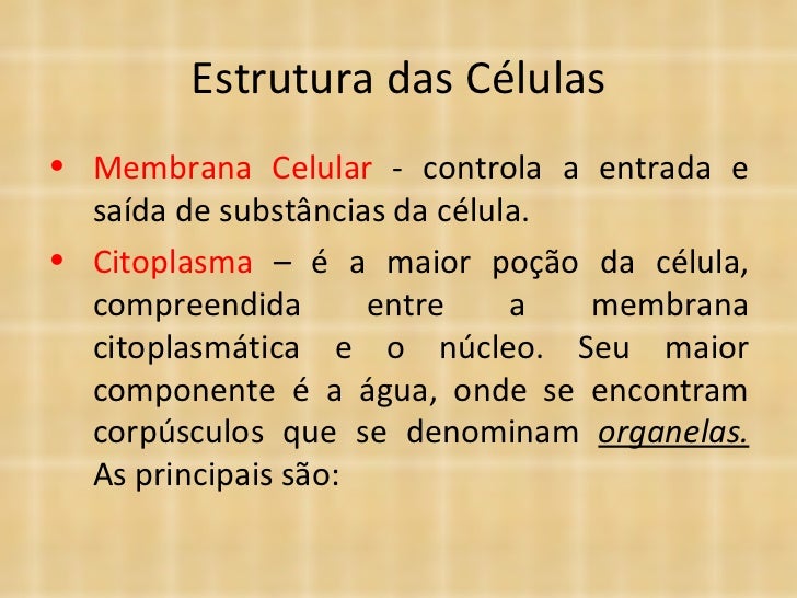 Envolve A Célula Permitindo A Entrada Ea Saída De Substância