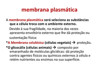 membrana plasmática
A membrana plasmática será seleciona as substâncias
que a célula troca com o ambiente externo.
Devido à sua fragilidade, na maioria das vezes
apresenta envoltório externo que lhe dá proteção ou
sustentação física:
*A Membrana celulósica (células vegetais)  proteção.
*O glicocálix (células animais)  composto por
emaranhado de moléculas glicídicas: dá proteção
contra agentes físicos ou químicos externos à célula e
retém nutrientes ou enzimas na sua superfície.
 