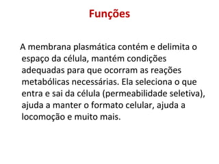 Funções
A membrana plasmática contém e delimita o
espaço da célula, mantém condições
adequadas para que ocorram as reações
metabólicas necessárias. Ela seleciona o que
entra e sai da célula (permeabilidade seletiva),
ajuda a manter o formato celular, ajuda a
locomoção e muito mais.
 