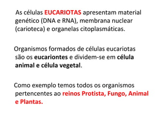 As células EUCARIOTAS apresentam material
genético (DNA e RNA), membrana nuclear
(carioteca) e organelas citoplasmáticas.
Organismos formados de células eucariotas
são os eucariontes e dividem-se em célula
animal e célula vegetal.
Como exemplo temos todos os organismos
pertencentes ao reinos Protista, Fungo, Animal
e Plantas.
 