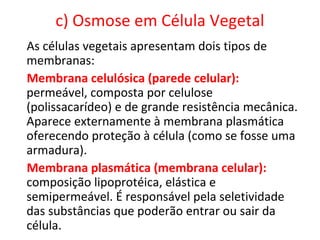 c) Osmose em Célula Vegetal
As células vegetais apresentam dois tipos de
membranas:
Membrana celulósica (parede celular):
permeável, composta por celulose
(polissacarídeo) e de grande resistência mecânica.
Aparece externamente à membrana plasmática
oferecendo proteção à célula (como se fosse uma
armadura).
Membrana plasmática (membrana celular):
composição lipoprotéica, elástica e
semipermeável. É responsável pela seletividade
das substâncias que poderão entrar ou sair da
célula.
 