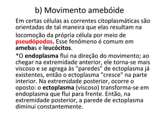 b) Movimento amebóide
Em certas células as correntes citoplasmáticas são
orientadas de tal maneira que elas resultam na
locomoção da própria célula por meio de
pseudópodos. Esse fenômeno é comum em
amebas e leucócitos.
*O endoplasma flui na direção do movimento; ao
chegar na extremidade anterior, ele torna-se mais
viscoso e se agrega às "paredes" de ectoplasma já
existentes, então o ectoplasma "cresce" na parte
interior. Na extremidade posterior, ocorre o
oposto: o ectoplasma (viscoso) transforma-se em
endoplasma que flui para frente. Então, na
extremidade posterior, a parede de ectoplasma
diminui constantemente.
 