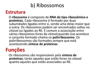 b) Ribossomos
Estrutura
O ribossomo é composto de RNA do tipo ribossômico e
proteínas. Cada ribossomo é formado por duas
subunidades ligadas entre si, sendo uma delas maior que
a outra. Os ribossomos podem ser encontrados soltos no
citosol ou ligados ao RE. É comum a associação entre
vários ribossomos livres do citosol;quando isso acontece
o conjunto formado chama-se polirribossomo. Os
polirribossomos são formados sempre que está
acontecendo síntese de proteínas.
Funções
Os ribossomos são responsáveis pela síntese de
proteínas, tanto aqueles que estão livres no citosol
quanto aqueles que estão associados ao RE.
 
