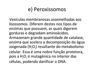 e) Peroxissomos
Vesículas membranosas assemelhadas aos
lisossomos. Diferem destes nos tipos de
enzimas que possuem, as quais digerem
gorduras e degradam aminoácidos.
Armazenam grande quantidade de catalase,
enzima que acelera a decomposição da água
oxigenada (H2O2) resultante do metabolismo
celular. Essa é uma nobre função protetora,
pois a H2O2 é mutagênica no interior das
células, podendo danificar o DNA.
 