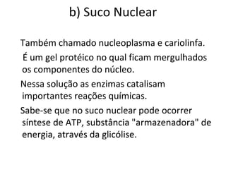b) Suco Nuclear
Também chamado nucleoplasma e cariolinfa.
É um gel protéico no qual ficam mergulhados
os componentes do núcleo.
Nessa solução as enzimas catalisam
importantes reações químicas.
Sabe-se que no suco nuclear pode ocorrer
síntese de ATP, substância "armazenadora" de
energia, através da glicólise.
 