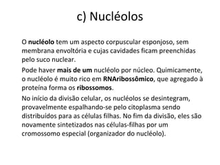 c) Nucléolos
O nucléolo tem um aspecto corpuscular esponjoso, sem
membrana envoltória e cujas cavidades ficam preenchidas
pelo suco nuclear.
Pode haver mais de um nucléolo por núcleo. Quimicamente,
o nucléolo é muito rico em RNAribossômico, que agregado à
proteína forma os ribossomos.
No início da divisão celular, os nucléolos se desintegram,
provavelmente espalhando-se pelo citoplasma sendo
distribuídos para as células filhas. No fim da divisão, eles são
novamente sintetizados nas células-filhas por um
cromossomo especial (organizador do nucléolo).
 