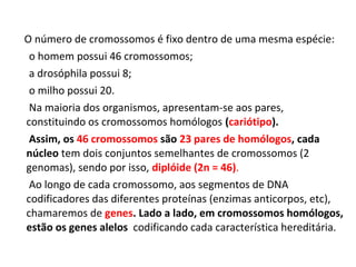O número de cromossomos é fixo dentro de uma mesma espécie:
o homem possui 46 cromossomos;
a drosóphila possui 8;
o milho possui 20.
Na maioria dos organismos, apresentam-se aos pares,
constituindo os cromossomos homólogos (cariótipo).
Assim, os 46 cromossomos são 23 pares de homólogos, cada
núcleo tem dois conjuntos semelhantes de cromossomos (2
genomas), sendo por isso, diplóide (2n = 46).
Ao longo de cada cromossomo, aos segmentos de DNA
codificadores das diferentes proteínas (enzimas anticorpos, etc),
chamaremos de genes. Lado a lado, em cromossomos homólogos,
estão os genes alelos codificando cada característica hereditária.
 