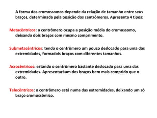 A forma dos cromossomos depende da relação de tamanho entre seus
braços, determinada pela posição dos centrômeros. Apresenta 4 tipos:
Metacêntricos: o centrômero ocupa a posição média do cromossomo,
deixando dois braços com mesmo comprimento.
Submetacêntricos: tendo o centrômero um pouco deslocado para uma das
extremidades, formadois braços com diferentes tamanhos.
Acrocêntricos: estando o centrômero bastante deslocado para uma das
extremidades. Apresentaráum dos braços bem mais comprido que o
outro.
Telocêntricos: o centrômero está numa das extremidades, deixando um só
braço cromossômico.
 