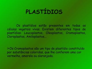 PLASTÍDIOS  Os plastídios estão presentes em todas as células vegetais vivas. Existem diferentes tipos de plastídios: Leucoplastos, Oleoplastos, Cromoplastos, Cloroplastos, Amiloplastos... Os Cromoplastos são um tipo de plastídio constituído por substâncias coloridas, que lhe conferem uma cor vermelha, amarela ou alaranjada. 