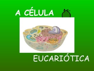 A CÉLULA EUCARIÓTICA 