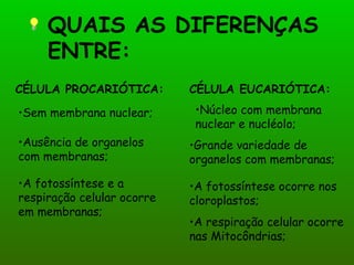 QUAIS AS DIFERENÇAS ENTRE: A fotossíntese e a respiração celular ocorre em membranas;  A fotossíntese ocorre nos cloroplastos; A respiração celular ocorre nas Mitocôndrias; CÉLULA PROCARIÓTICA: CÉLULA EUCARIÓTICA: Sem membrana nuclear; Ausência de organelos com membranas; Núcleo com membrana nuclear e nucléolo; Grande variedade de organelos com membranas; 