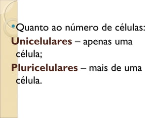Quanto  ao número de células:
Unicelulares – apenas uma
 célula;
Pluricelulares – mais de uma
 célula.
 