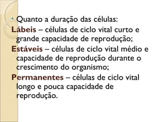 •Quanto a duração das células:
Lábeis – células de ciclo vital curto e
 grande capacidade de reprodução;
Estáveis – células de ciclo vital médio e
 capacidade de reprodução durante o
 crescimento do organismo;
Permanentes – células de ciclo vital
 longo e pouca capacidade de
 reprodução.
 