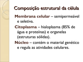Composição estrutural da célula
Membrana celular – semipermeável
 e seletiva.
Citoplasma – hialoplasma (85% de
 água e proteínas) e organelas
 (estruturas sólidas).
Núcleo – contém o material genético
 e regula as atividades celulares.
 