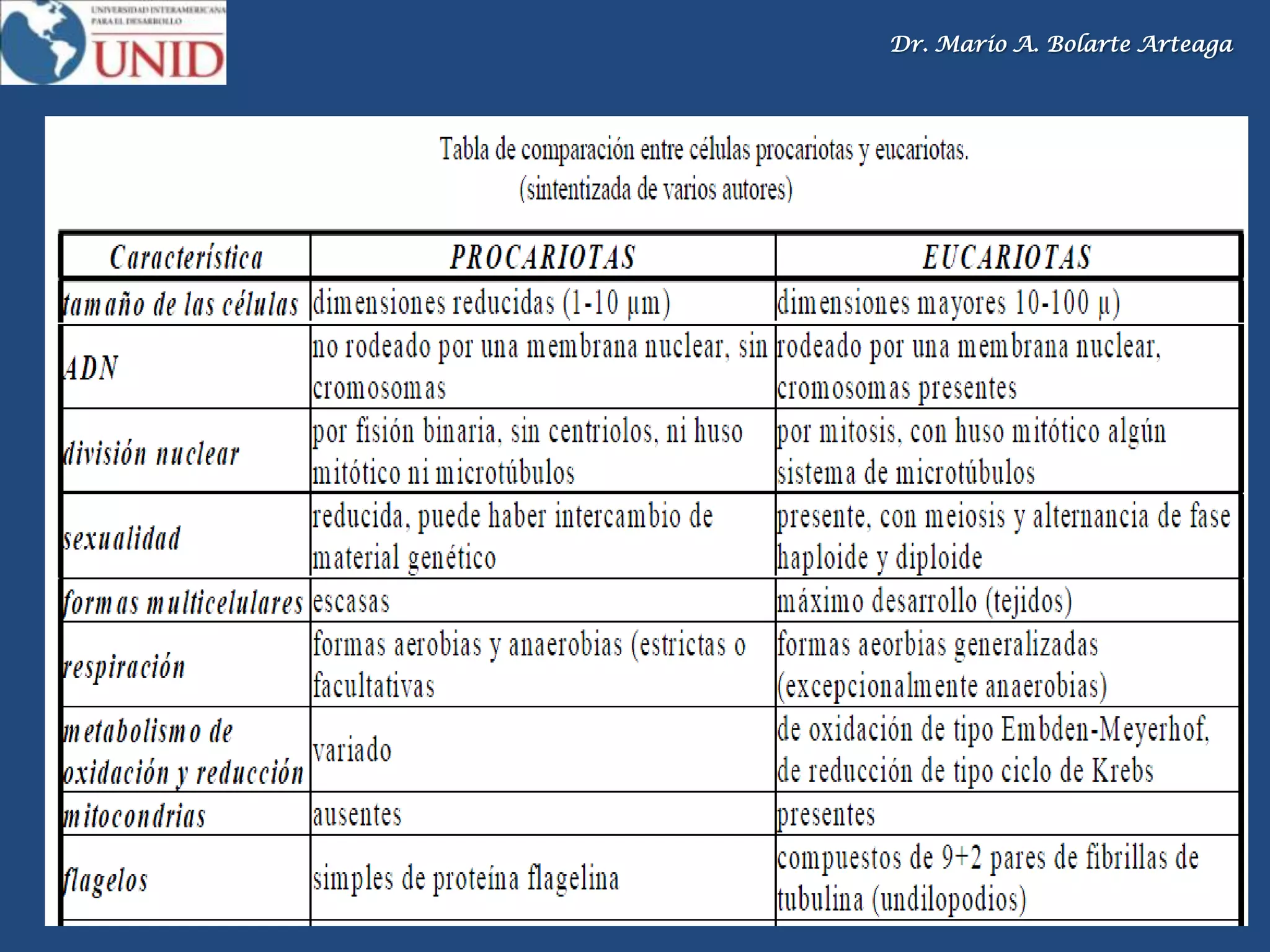 Dr. Mario A. Bolarte Arteaga